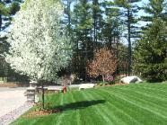 lawn maintenance