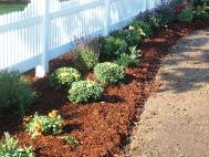 perennial gardening salem nh
