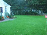 lawn hydroseed installation