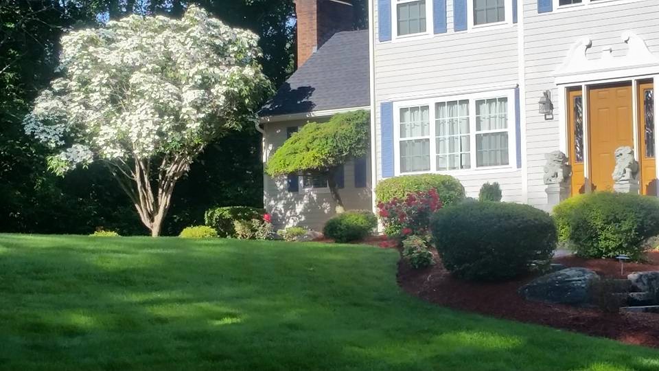 lawn fertilizer