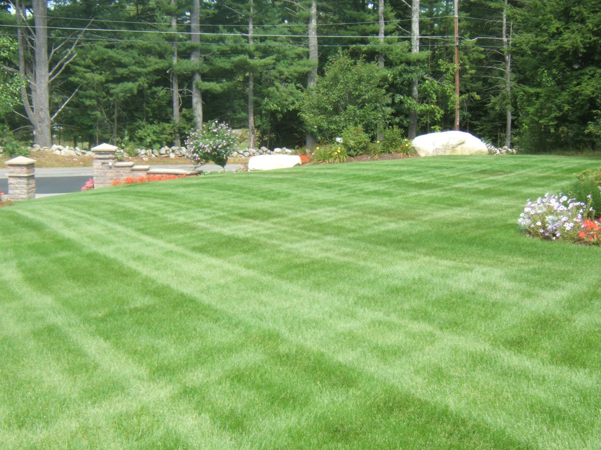 lawn fertilizer
